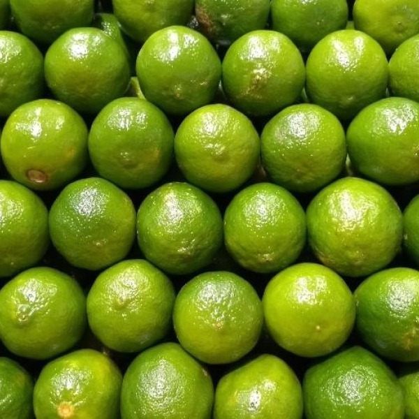 Limão (900 gramas a 1kg)