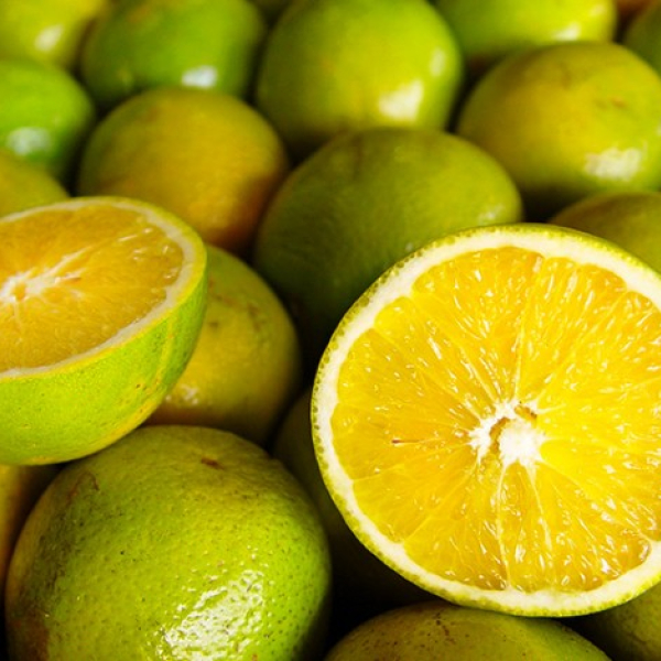 LARANJA  (900 gramas a 1 kg)