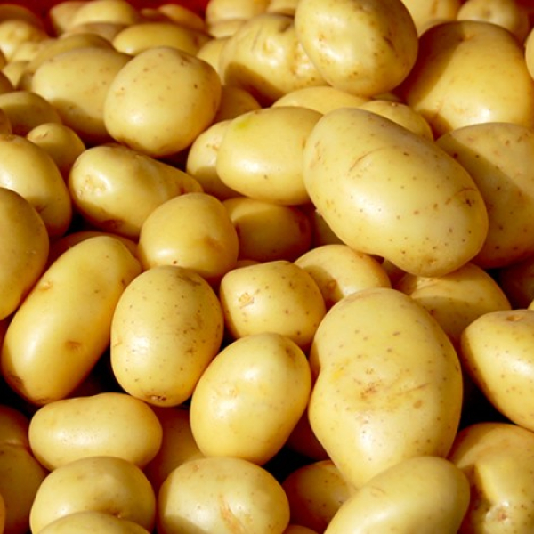 batata (900 gramas a 1 kg)