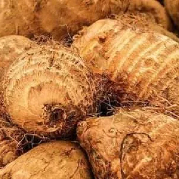 inhame (900 gramas a 1 kg)